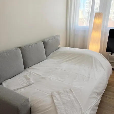 Le Pasteur élégant T2 Au Centre De * Mulhouse