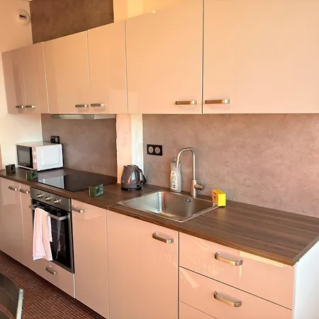 Le Pasteur Elegant T2 Au Centre De Apartment Mulhouse
