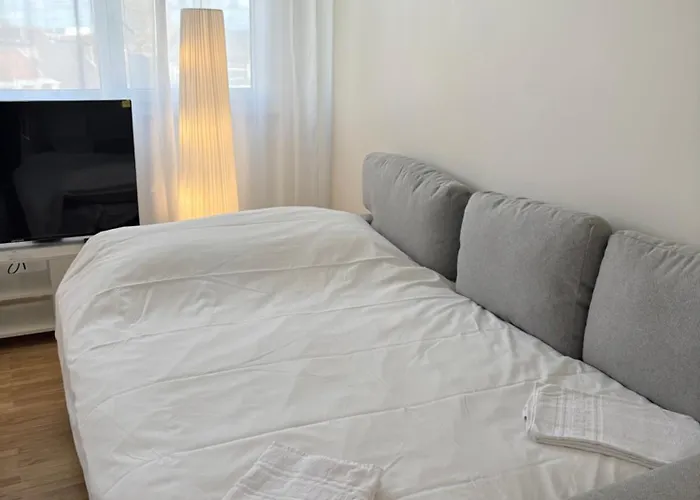 Apartment Le Pasteur Elegant T2 Au Centre De Mülhausen