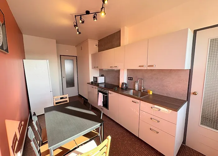 Le Pasteur Elegant T2 Au Centre De Apartment Mülhausen