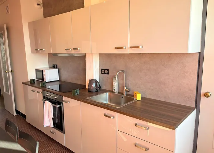 Le Pasteur Elegant T2 Au Centre De Apartment Mülhausen