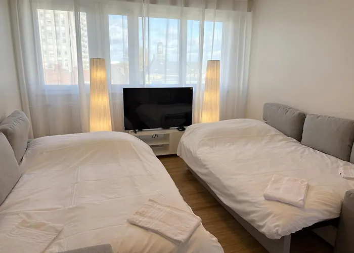 Le Pasteur Elegant T2 Au Centre De Apartment Mülhausen